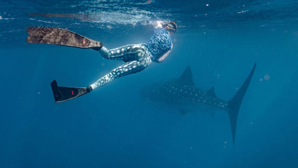 Top-10-Things-To-Do-In-Exmouth-Swimming-with-whale-sharks